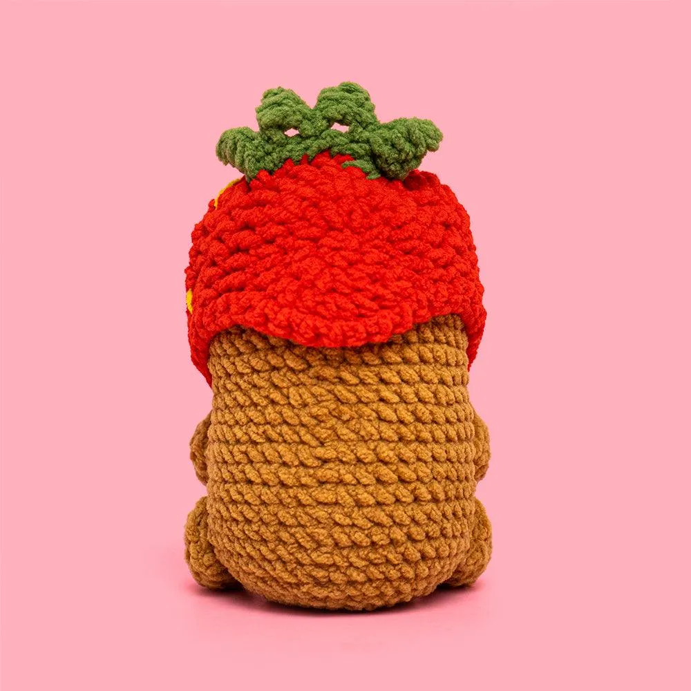 Capybara With A Strawberry Hat