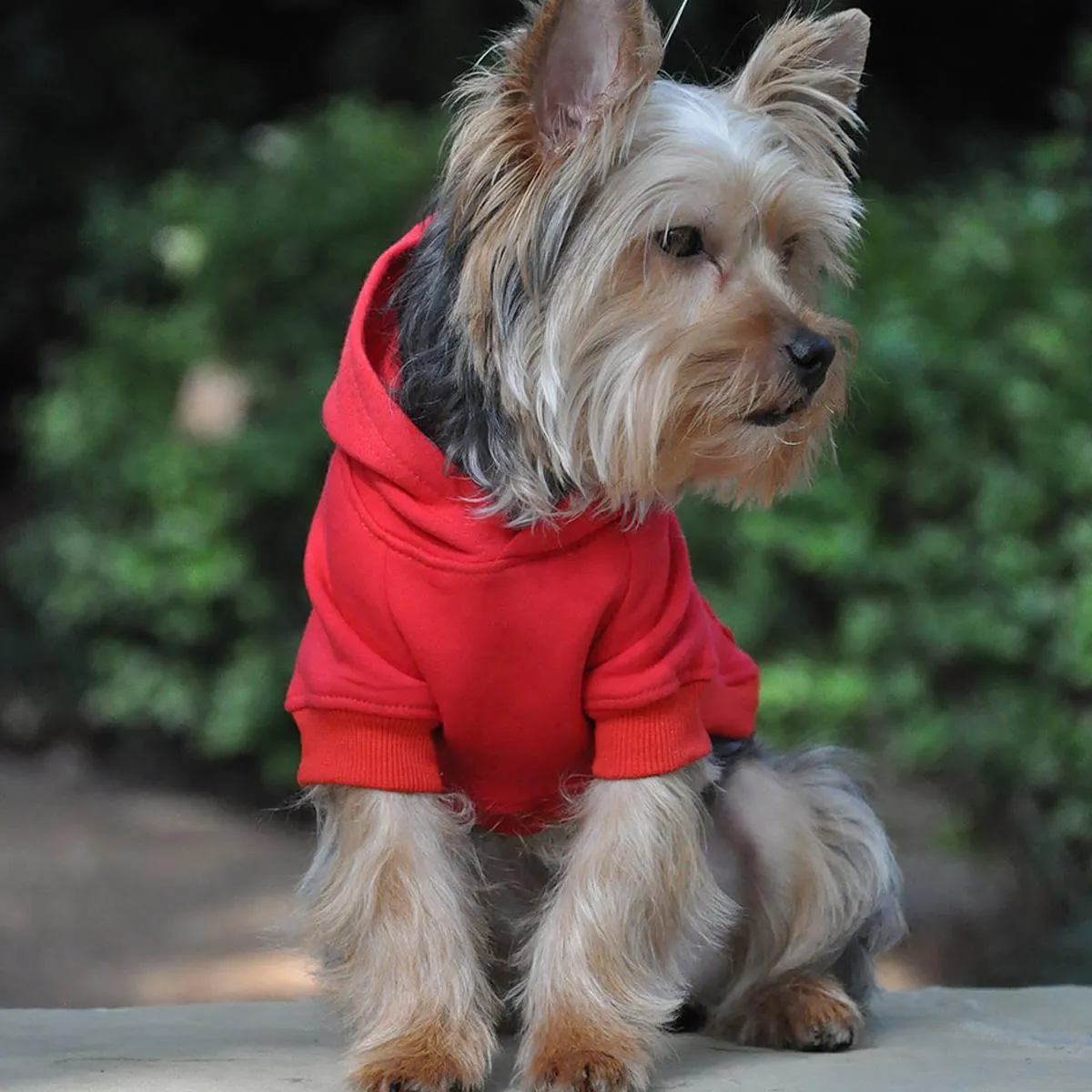 Flex-Fit Dog Hoodie Red