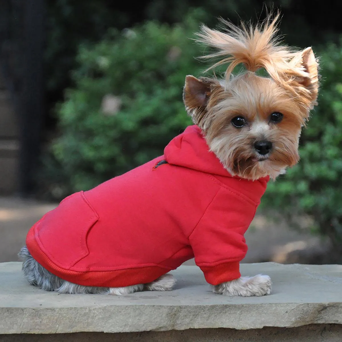 Flex-Fit Dog Hoodie Red