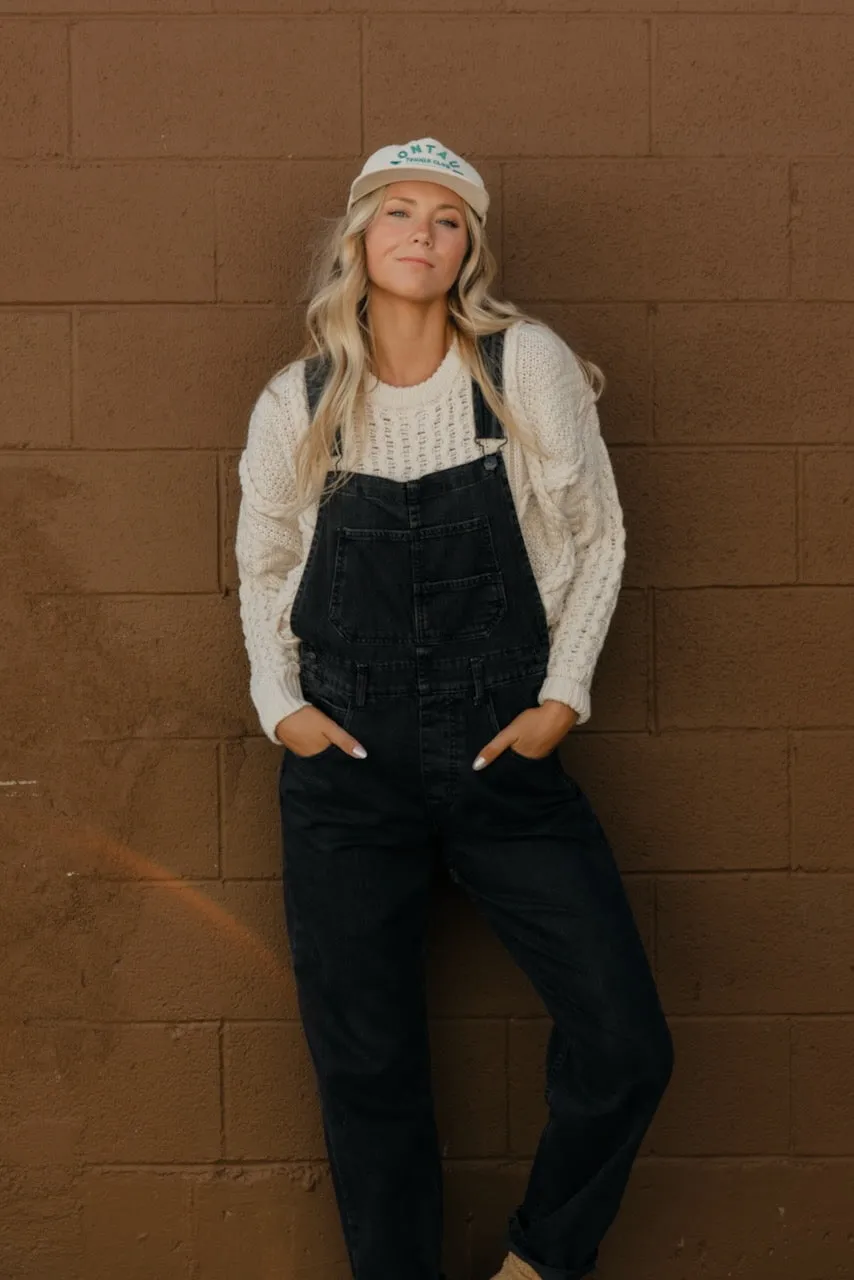 Free People Ziggy Denim Overalls