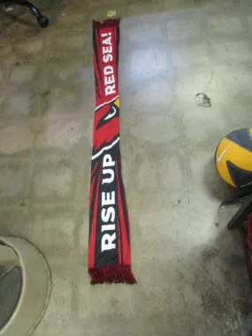 Used Arizona Cardinals Scarf