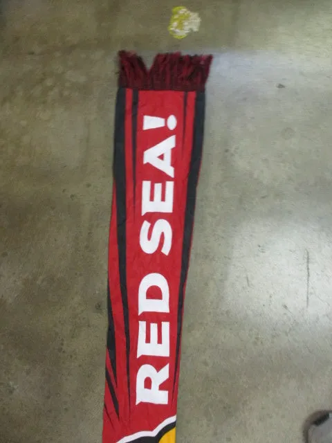 Used Arizona Cardinals Scarf