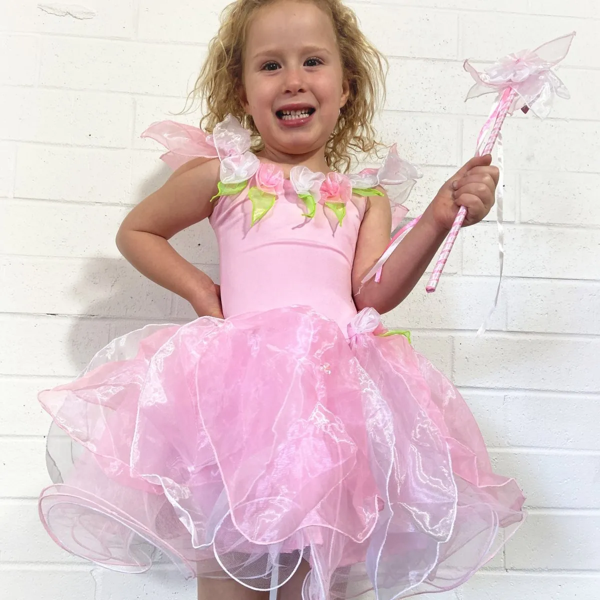 Wish Fairy Dress   Wishing Wand