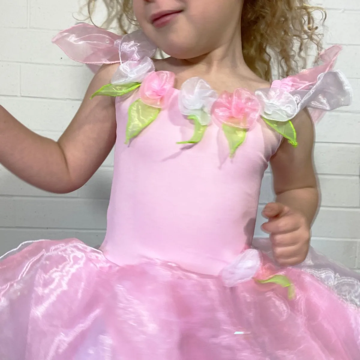 Wish Fairy Dress   Wishing Wand